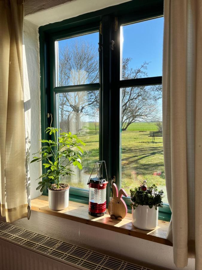 Dargatz Apartment Lussvitz